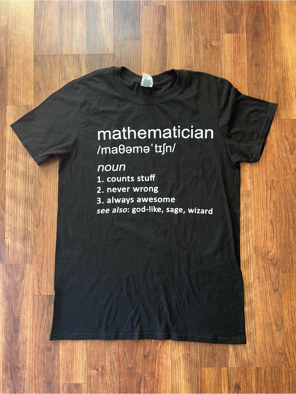 Funny Mathematician Definition Graphic T Shirt Black Gildan Softstyle Small